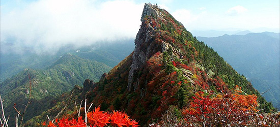 Mt. Ishizuchi